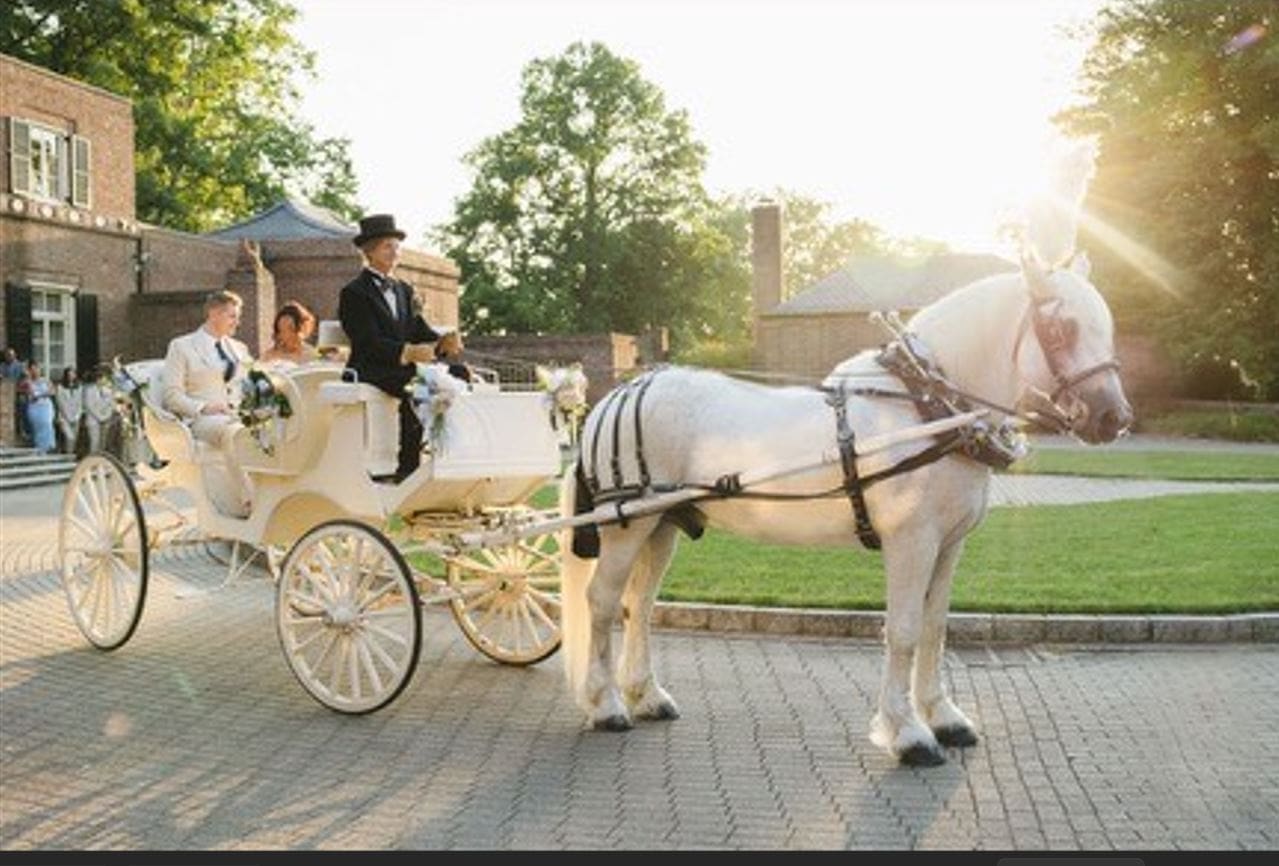 68701a1e477c3_horse